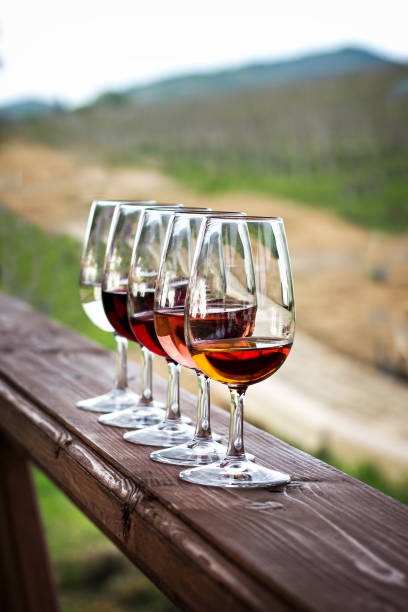 istock Glasses with wine. Red, pink, white wine in glasses. 920459166
