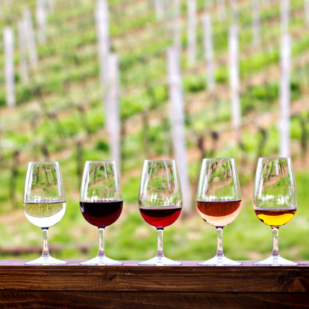 istock Glasses with wine. Red, pink, white wine in glasses. 920459220