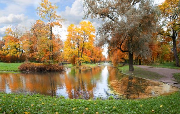 istock Autumn landscape in Russia 920462182