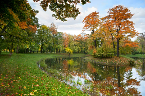 istock Autumn landscape in Russia 920462206
