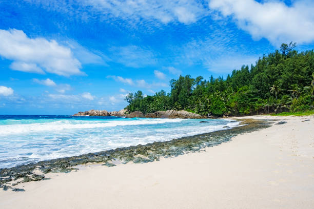 istock Beautiful tropical beach,palms,white sand,granite rocks,seychelles 9 920462306
