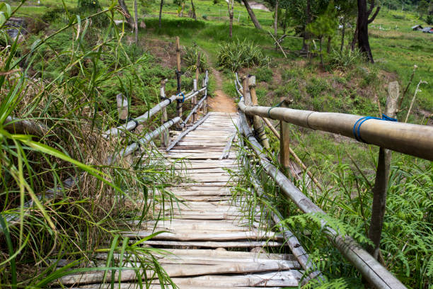 istock Dangerous bridge in Sulawesi 920462400