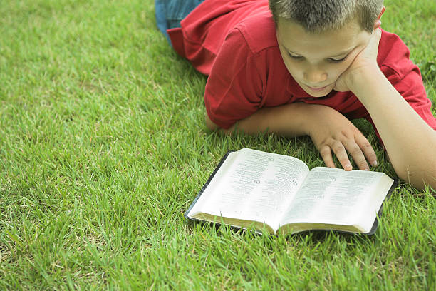 Boy lying grass reading a book stock photo