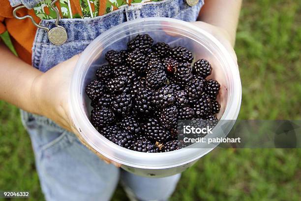 Foto de Tigela Cheia De Amoras e mais fotos de stock de Amora-preta - Amora-preta, Criança, Pegar Frutos