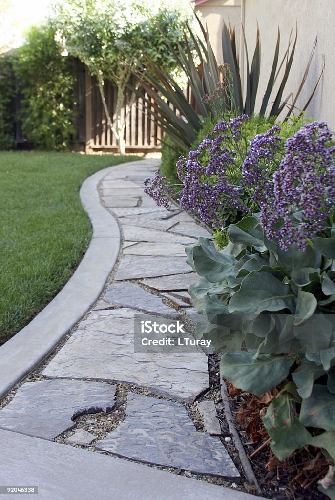 Backyard Path  Bush Stock Photo