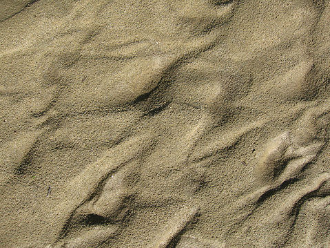 Sand texture on a river beach