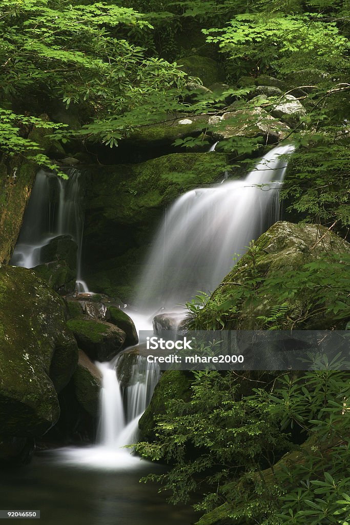 Chute d'eau dans les Smoky Mountains - Photo de Arbre libre de droits