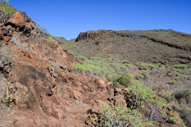 istock La Gomera: hike from Playa de Santiago to San Sebastian 920466404