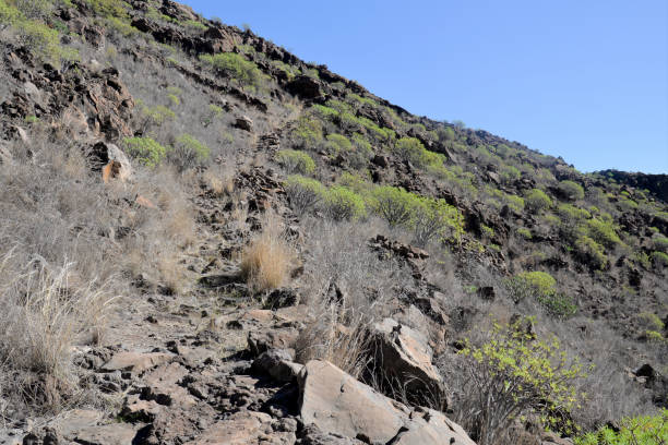 istock La Gomera: hike from Playa de Santiago to San Sebastian 920466818