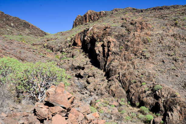 istock La Gomera: hike from Playa de Santiago to San Sebastian 920466866