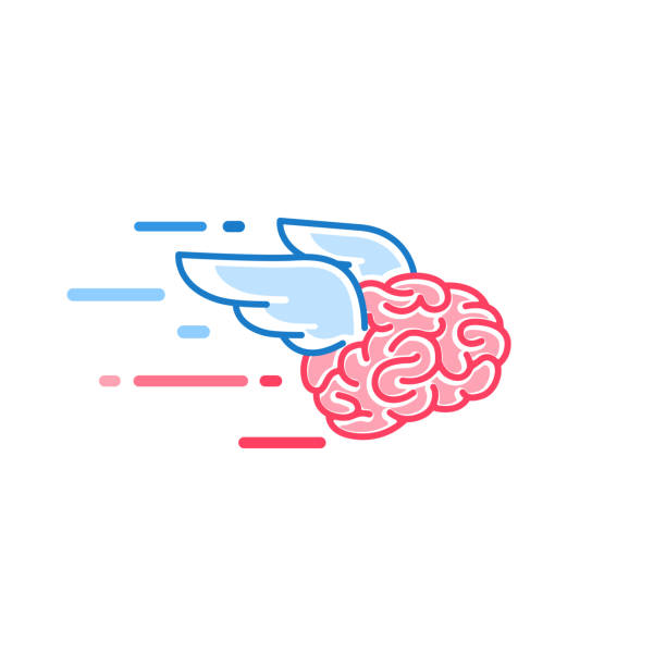 The brain with wings flies vector illustration. Brains of the dreamer The brain with wings flies vector illustration isolated on white background. Brains of the dreamer freedom illustrations stock illustrations