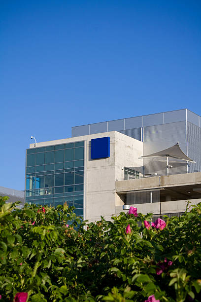 istock Modern hospital with flowers in foreground 92047003
