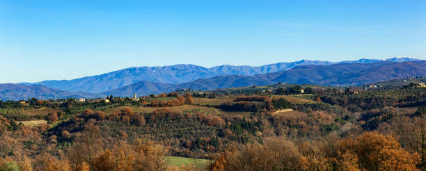 istock Scenic View Of Landscape Against Clear Blue Sky 920479848