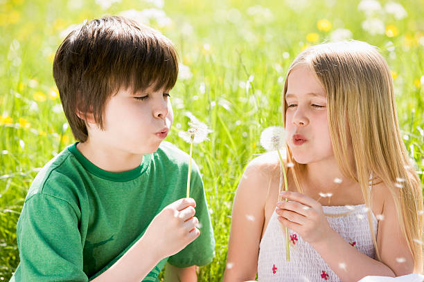 istock Two young children blowing dandelion heads 92048355