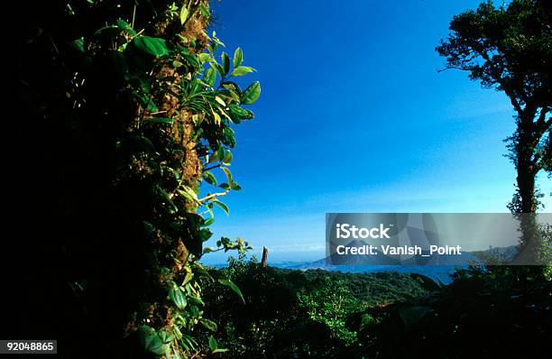Wulkan Arenal Wynika Z Cloud Forest - zdjęcia stockowe i więcej obrazów Ameryka Łacińska - Ameryka Łacińska, Ameryka Środkowa, Bez ludzi