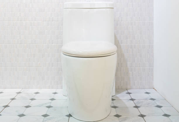 istock White Ceramic Toilet Bowl in front of wood wall 920488950