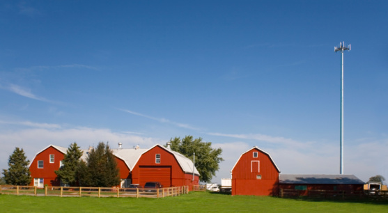 Three red barns with a cellular tower 