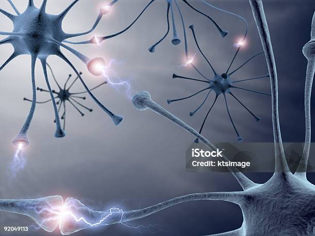 Photo libre de droit de Neurons banque d'images et plus d'images libres de droit de Anatomie - Anatomie, Axone, Biologie