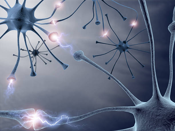 istock Digital drawing of neurons sending signals to each other 92049113