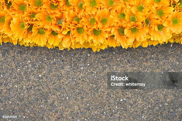 Oktoberorange Stockfoto und mehr Bilder von Baumblüte - Baumblüte, Bildhintergrund, Blume