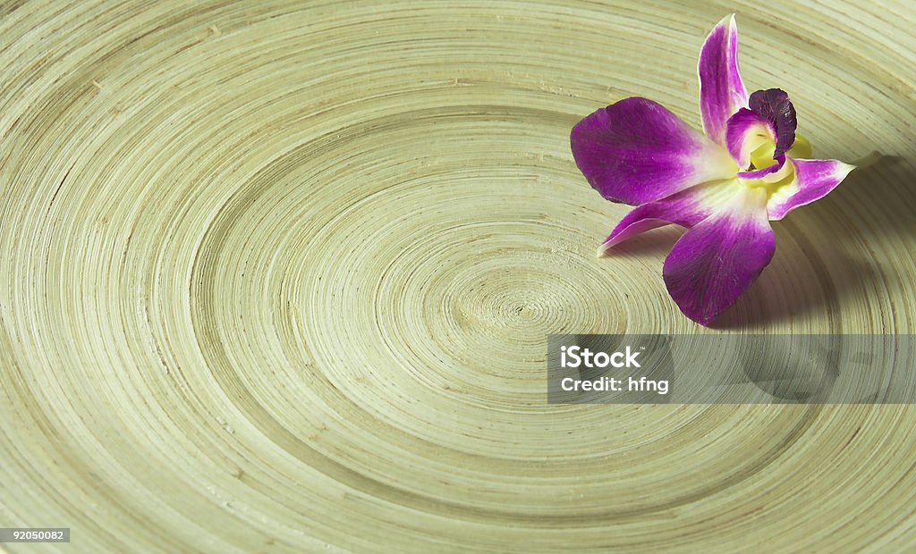 Orchid - Photo de Accessoire libre de droits