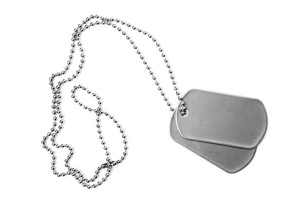 Blank dogtags and ball chain on white background stock photo