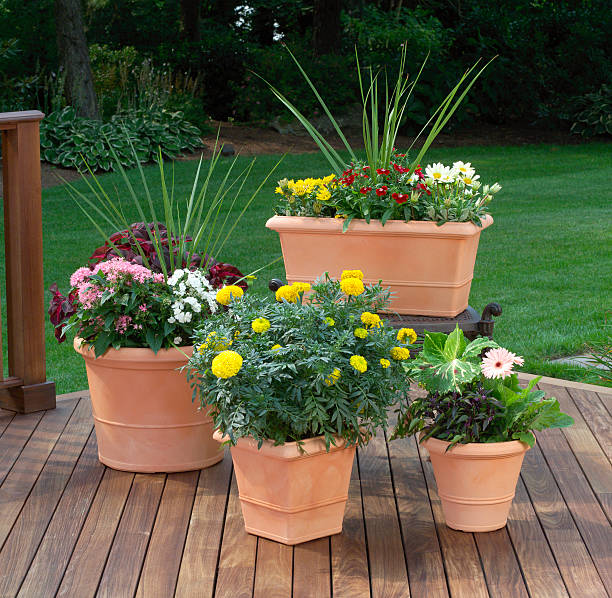 Terra cotta outdoor patio flower planters on wood deck stock photo