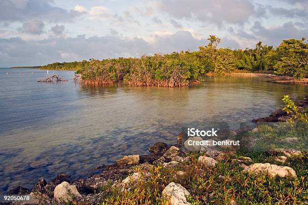 Photo libre de droit de Parc National De Biscayne banque d'images et plus d'images libres de droit de Biscayne Bay - Biscayne Bay, Parc National, Coucher de soleil