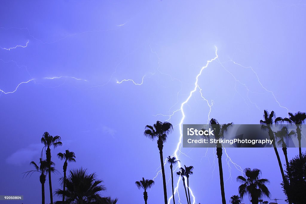 Tropical Lightning Thunder Storm  with Plam Trees  Lightning Stock Photo