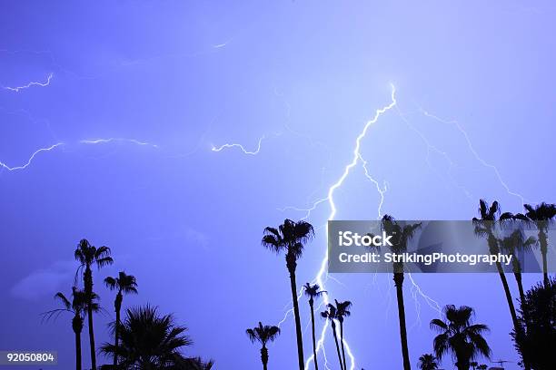 Tropical Lightning Thunder Storm With Plam Trees Stock Photo - Download Image Now - Lightning, Palm Tree, Arizona