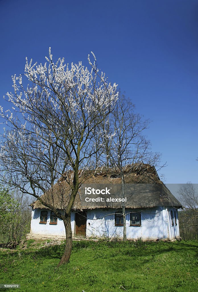 Old rural house  Abandoned Stock Photo