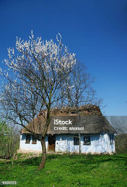 Old Rural House Stock Photo - Download Image Now - Abandoned, Architecture, Blossom