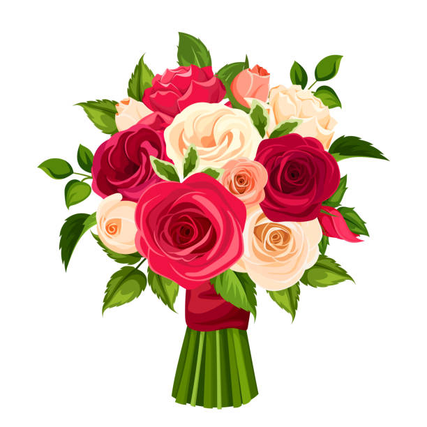 ilustraciones, imágenes clip art, dibujos animados e iconos de stock de ramo de rosas rojas, naranjas y blancos. ilustración de vector. - ramos