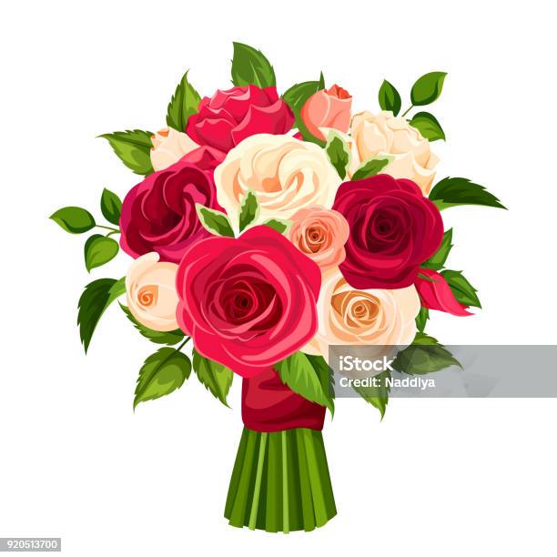 Bouquet Of Red Orange And White Roses Vector Illustration Stock Illustration - Download Image Now