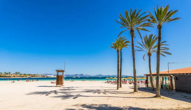 Platja de Alcudia beach on Majorca island, Spain Mediterranean Sea