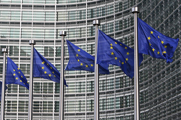 istock European flags in Brussels 92052591