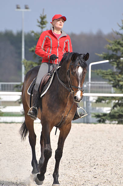 istock Amazon on the maroon horse in gallop 92052627