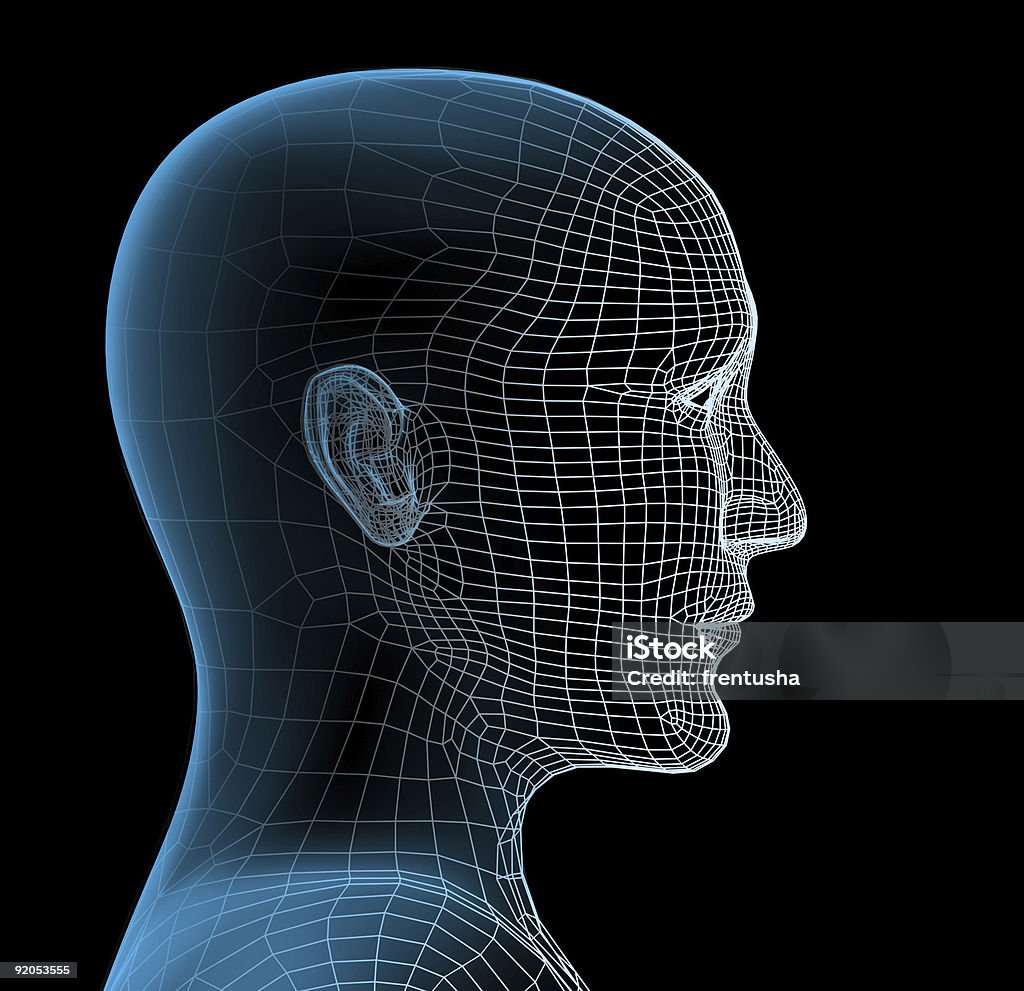 Digital outline of the head of a person Transparent 3d head of the person - x-ray Grid Pattern Stock Photo