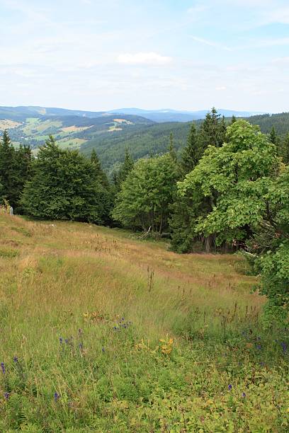istock Krkonose Mountains, Czech Republic 92053720