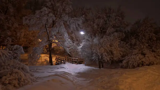 Photo of Beautiful winter scene in the park