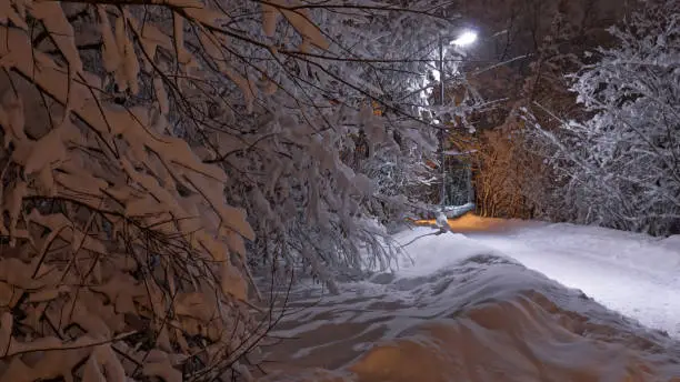 Photo of Beautiful winter scene in the park