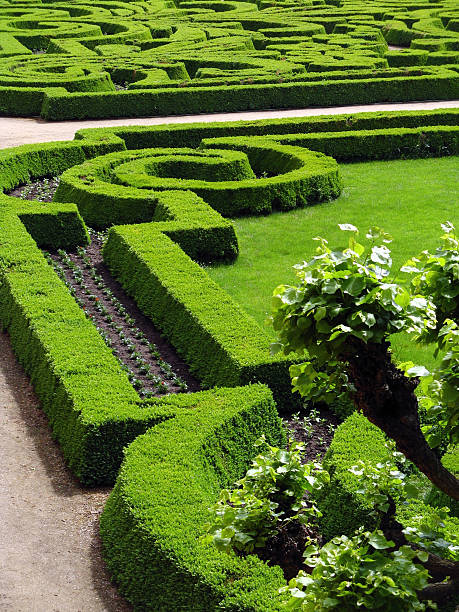 istock Park of castle - Czech republic Dobris 92054116