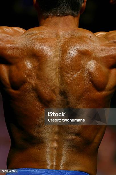 Espalda Muscular Foto de stock y más banco de imágenes de Adulto - Adulto, Anatomía, Articulación humana