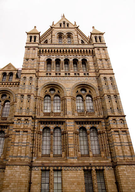 istock Natural History Museum, London 92054460
