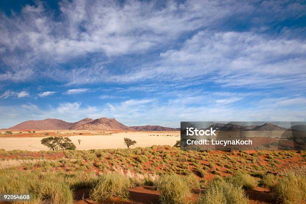 Morgen Früh Stockfoto und mehr Bilder von Steppe - Steppe, Steppenlandschaft, Namibia