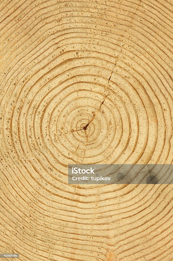 Fatia de madeira de fundo natural da Madeira - Royalty-free Abstrato Foto de stock