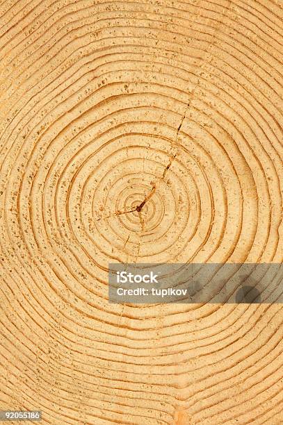 Кусок Дерева Древесины Естественный Фон — стоковые фотографии и другие картинки Абстрактный - Абстрактный, Без людей, Бревно