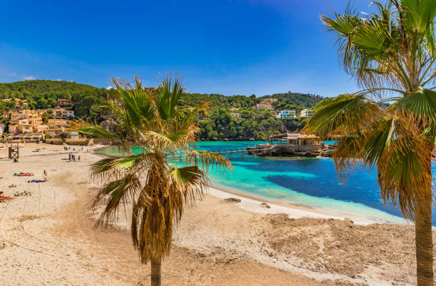 istock Majorca beach in Camp de Mar, beautiful bay on Mallorca island, Spain 920554742