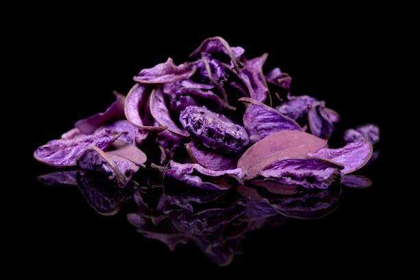 istock Blue dried flowers on black background 920554948