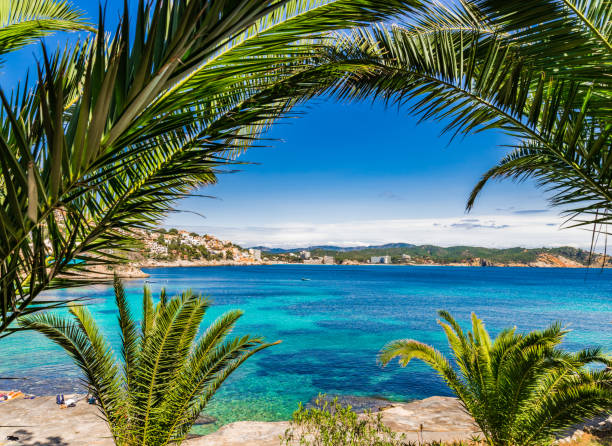 Beautiful view of bay coast in Cala Fornells, beach Majorca island, Spain Idyllic view of seaside in Cala Fornells, bay beach Mallorca, Spain Mediterranean Sea seaside views of cala fornells mallorca stock pictures, royalty-free photos & images